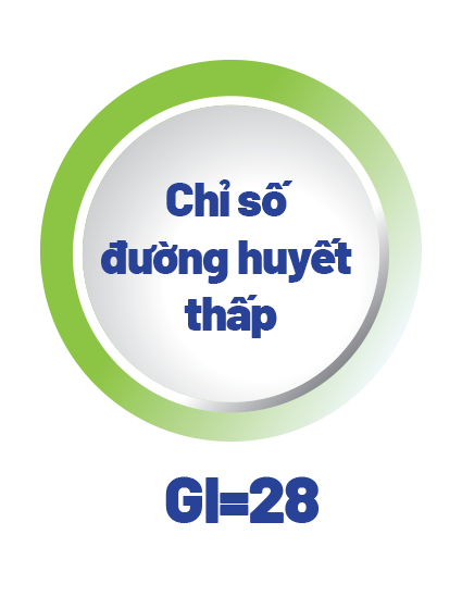 BOOST Glucose Control dinh dưỡng chuyên biệt cho người đái tháo đường giúp kiểm soát đường huyết