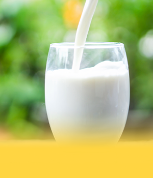Sữa cao năng lượng là gì?