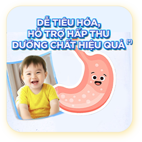 Đẩy nhanh quá trình tiêu hóa