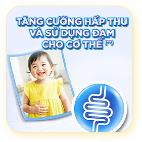 Hỗ trợ phát triển thể chất