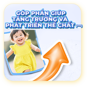 Tăng cường khả năng hấp thu chất đạm