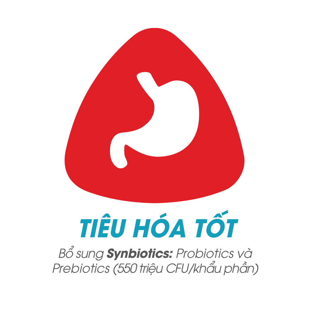 Hỗ trợ thể chất