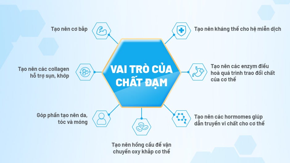 Đạm---Dưỡng-chất-quan-trọng-với-người-lớn-tuổi_banner1