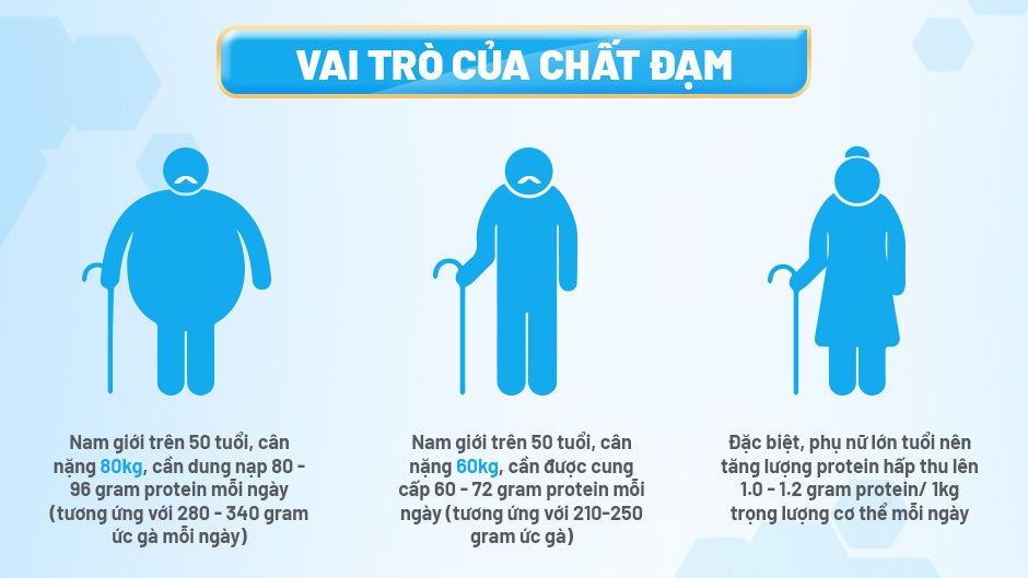 Đạm---Dưỡng-chất-quan-trọng-với-người-lớn-tuổi_banner2