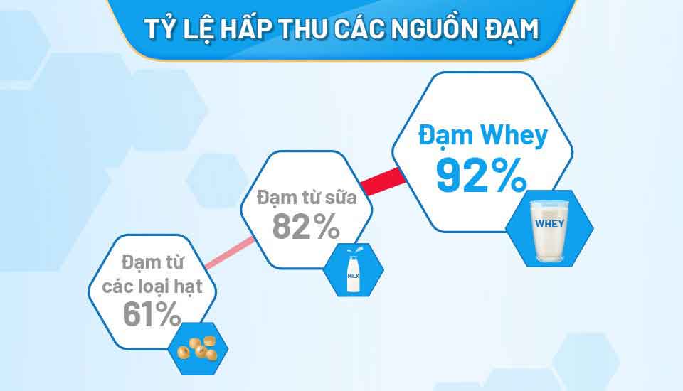 Nestlé Health Science thấy rằng người lớn tuổi dễ hấp thu đạm whey hơn các loại đạm khác