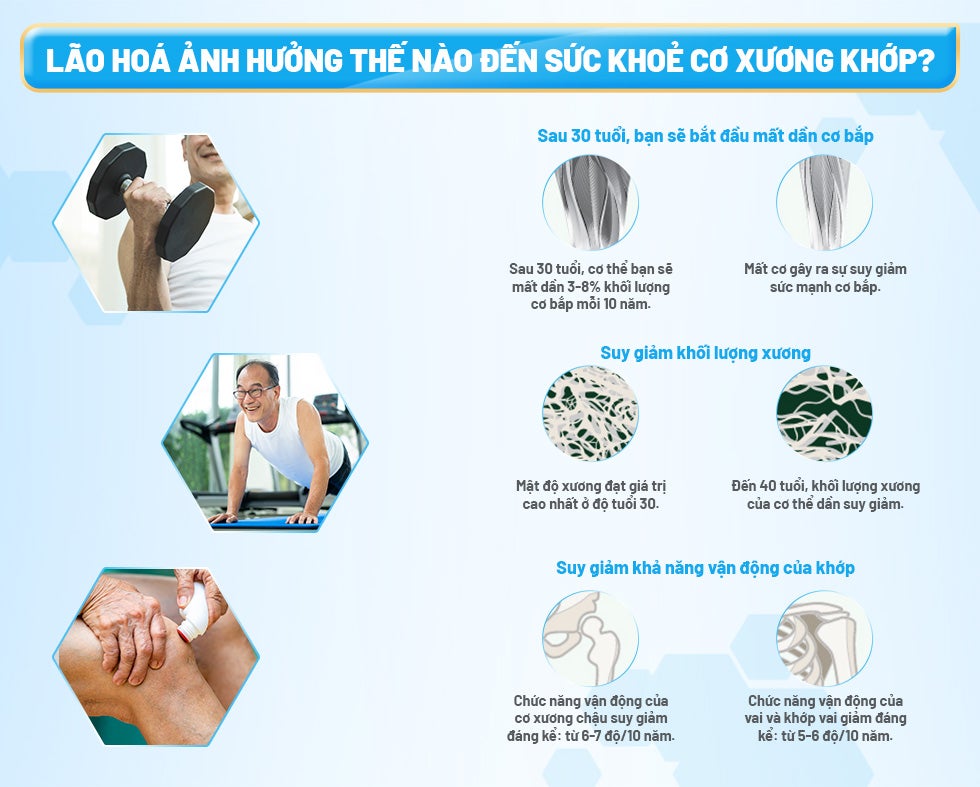 Infographic-1