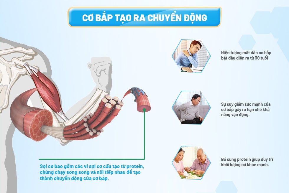 Infographic-2