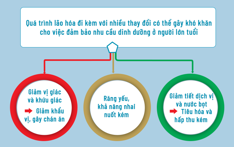 Cùng Nestlé Health Science tìm hiểu nguyên nhân khiến người lớn tuổi ăn ít và hấp thụ kém