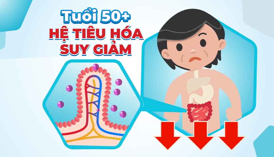 BOOST Optimum giúp cải thiện tình trạng tiêu hóa kém ở tuổi từ 50+