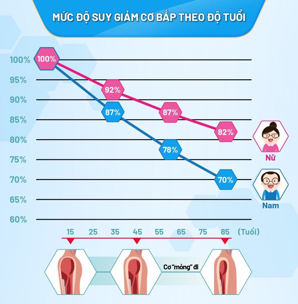 BOOST Optimum nhận thấy mức độ suy giảm cơ bắp theo độ tuổi nếu không bổ sung chất đạm