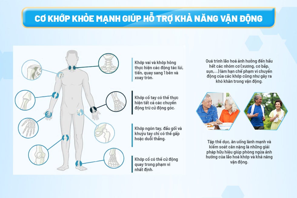 Cùng BOOST Optimum tìm hiểu về tình trạng khô khớp ở người lớn tuổi