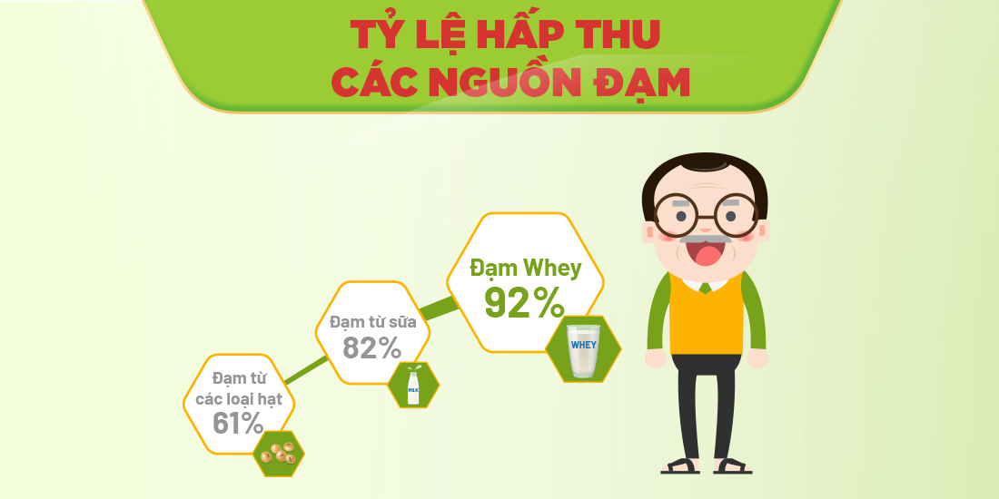 Tỷ lệ hấp thụ các nguồn đạm từ BOOST Glucose Control