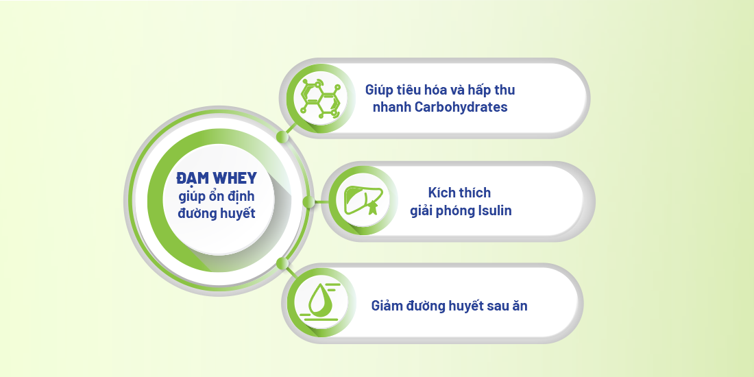 Tác dụng đạm Whey có trong BOOST Glucose Control đối với cơ thể của người lớn tuổi từ 50+